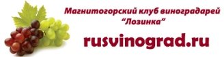 rusvinograd.ru